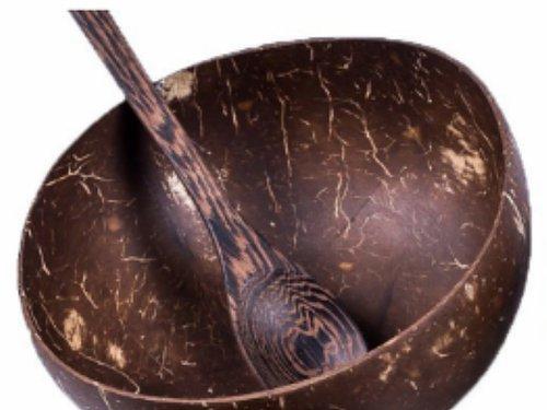 Coconut Shell Mixing Bowl & Spoon